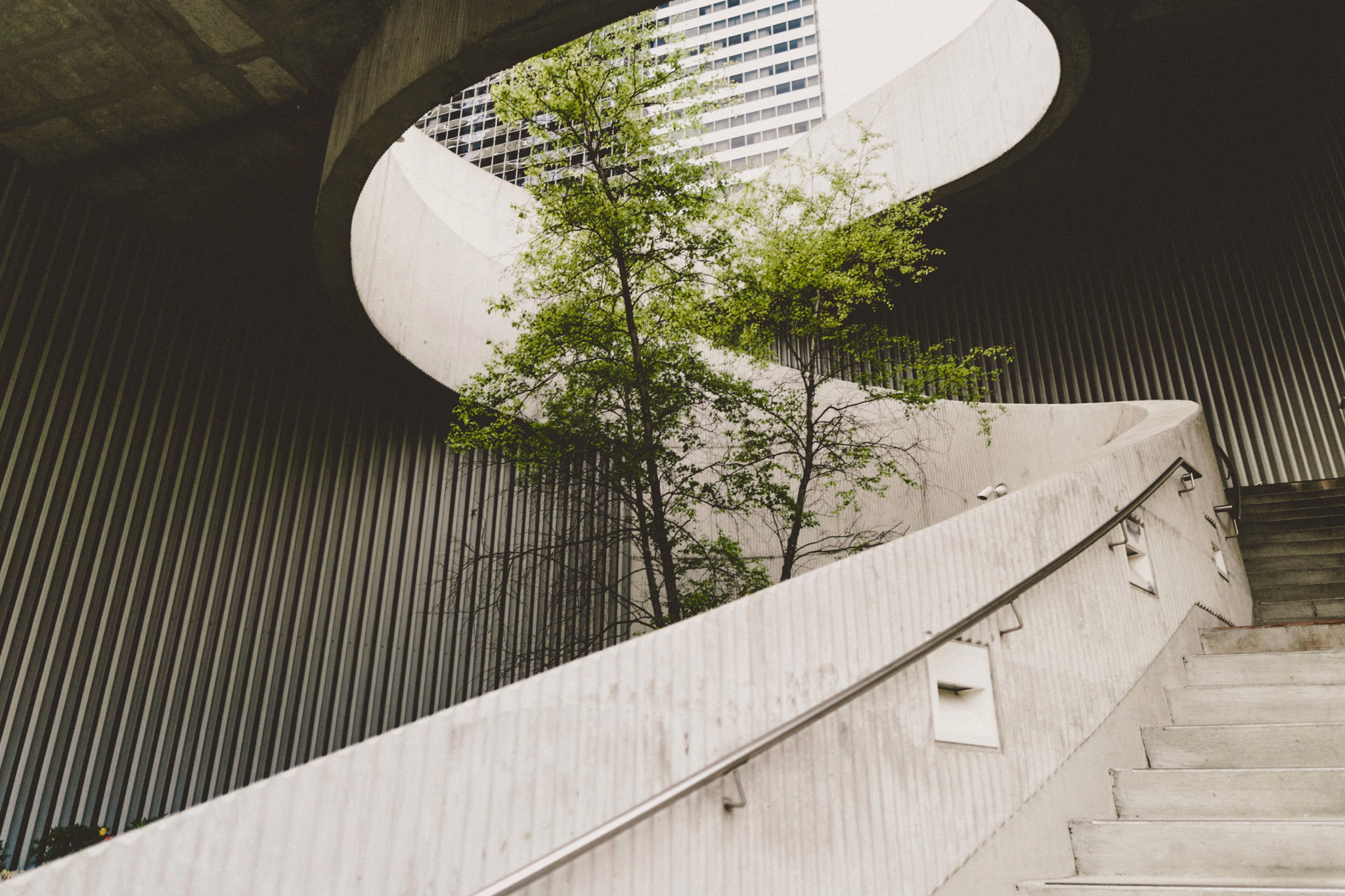 Concrete spiral staircase with nature elements
